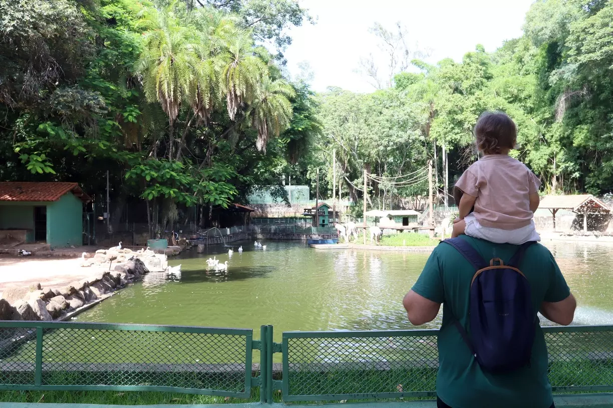 Lagoa do Taquaral e Parque Ecológico lideram buscas na internet